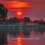 Avatar Isaac Belmonte