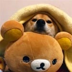 Avatar Lucía Morales